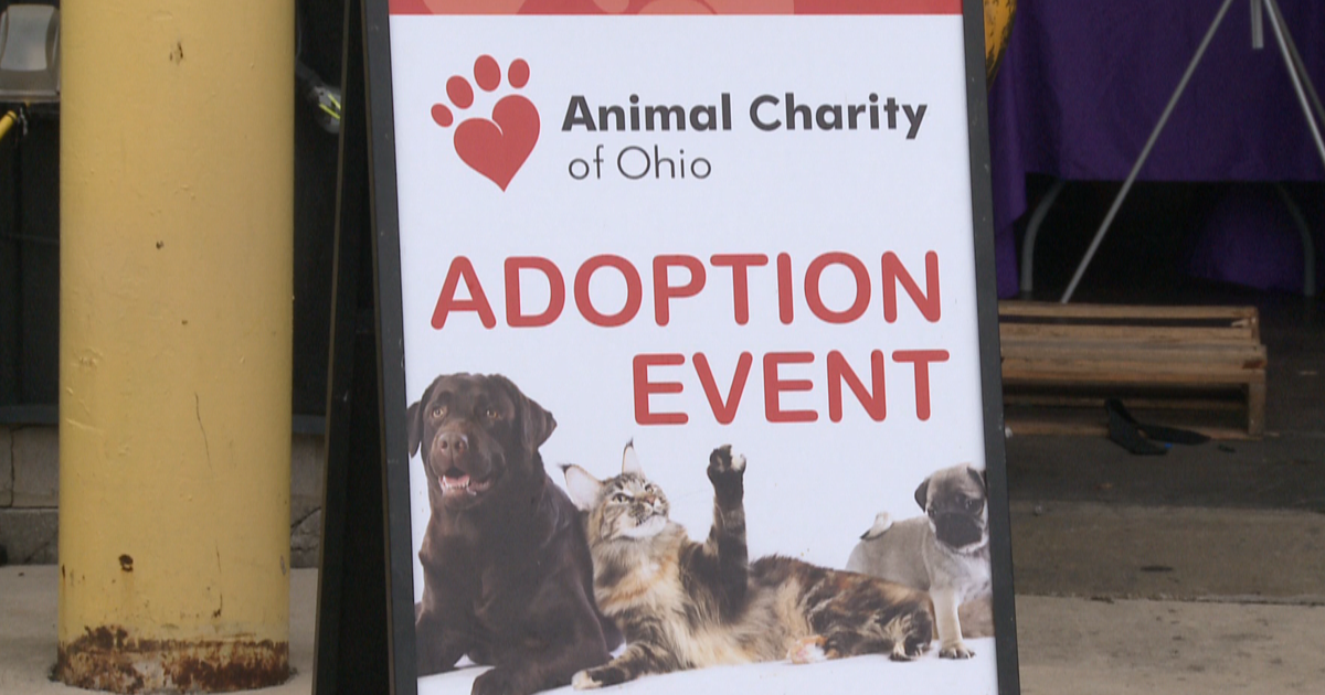 Penguin City Brewing and DOPE Cider House & Winery host fundraiser for Animal Charity of Ohio