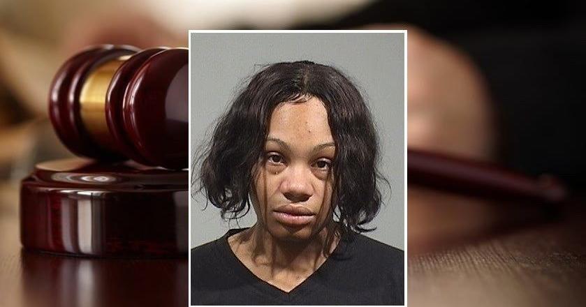 Timber Ridge Woman Mineral Ridge woman awaits sentencing for letting toddlers roam busy ...