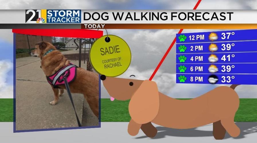 Chilly and breezy start to the work week | Archives | wfmj.com