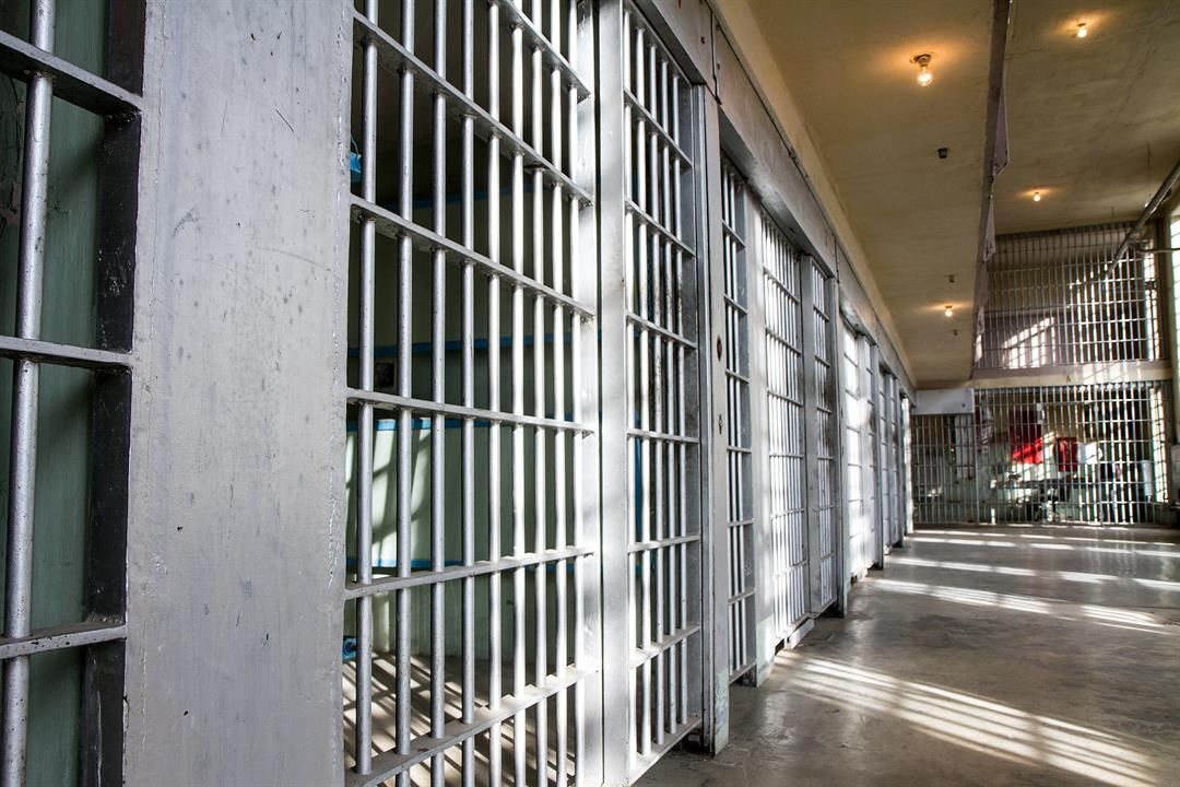 Vip Letonia Leetonia man sentenced to 3 years prison in animal abuse case ...