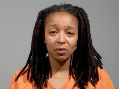 Liberty woman accused of kicking officer, charged with OVI, child ...