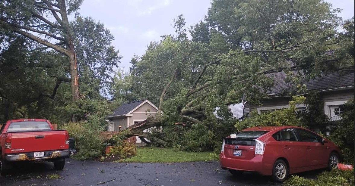 SLIDESHOW: Severe weather aftermath in the Valley | Archives | wfmj.com