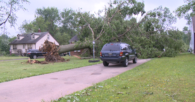 Storm cleanup could take a week, prompts emergency declaration by commissioners