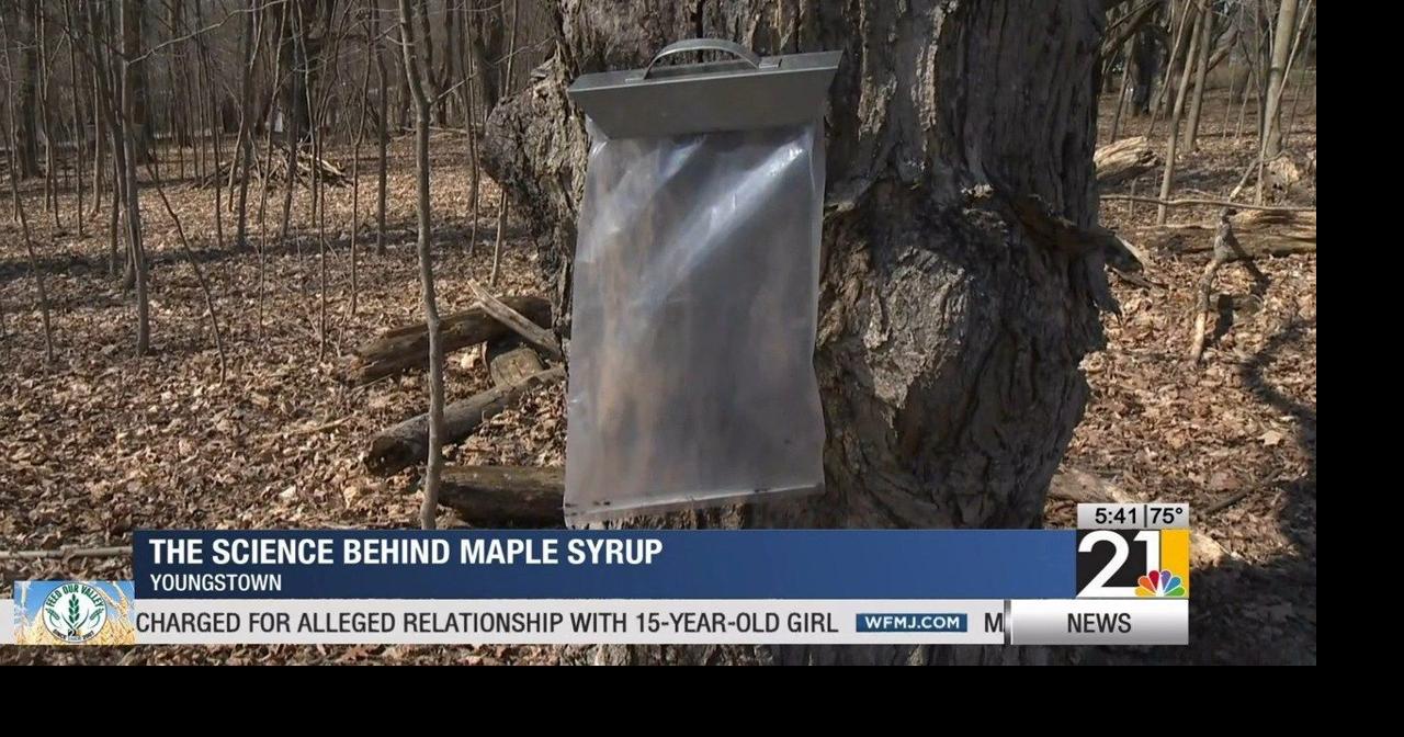 The science of making maple syrup | Archives | wfmj.com
