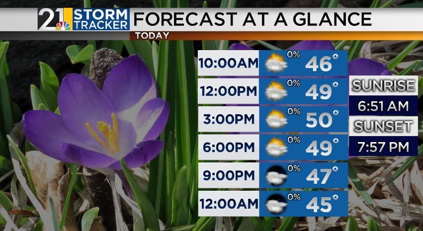 Beautiful Spring Day With Cooler Temperatures! | Archives | wfmj.com