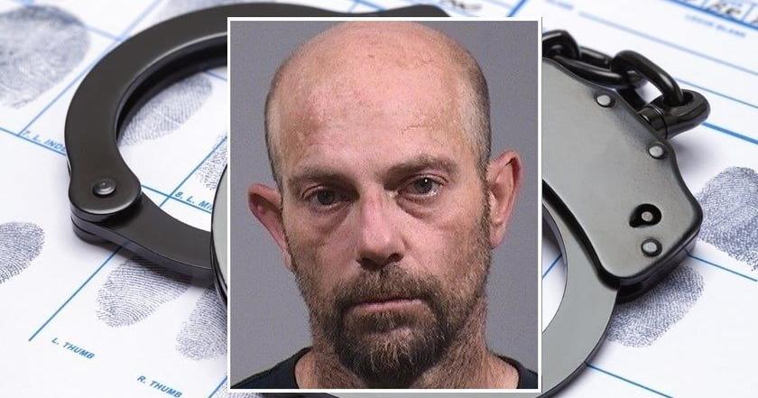 Warren man pleads guilty to killing man with 'personal weapons ...