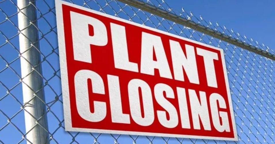 olivenbaum mit dünger besprühen ProviPlant Oliven-Dünger: Für Olivenbäume im Innen- und Außenbereich