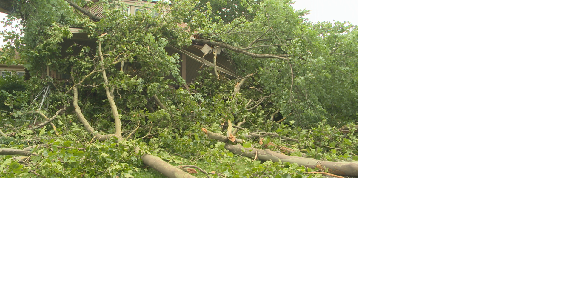 Near-misses, close calls reported as trees fall into homes