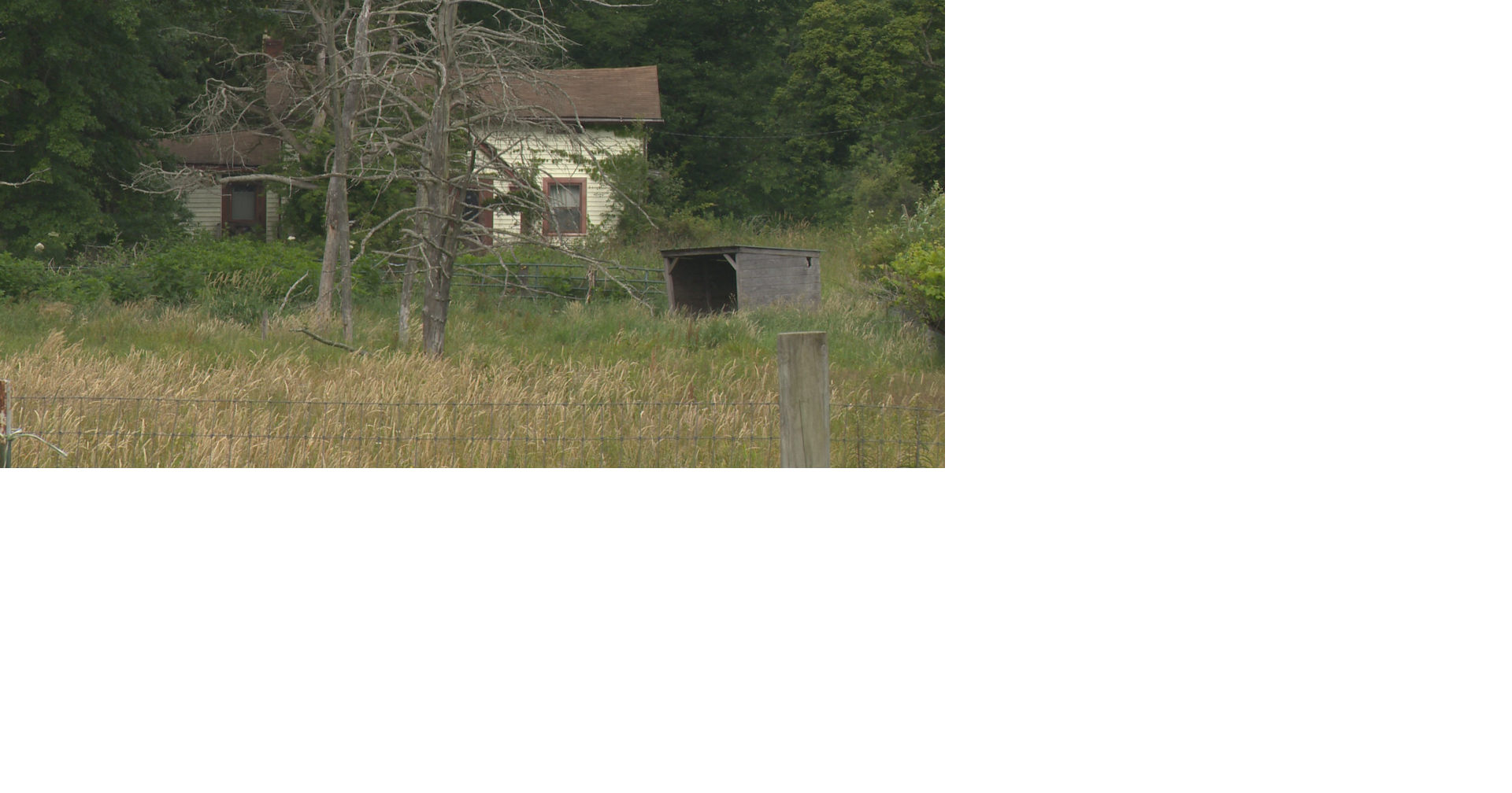Dogs rescued from ‘deplorable' vacant home near Coitsville