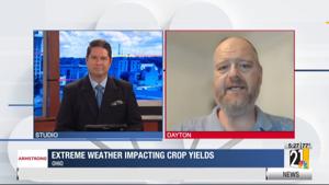 Extreme weather impacting crop yields
