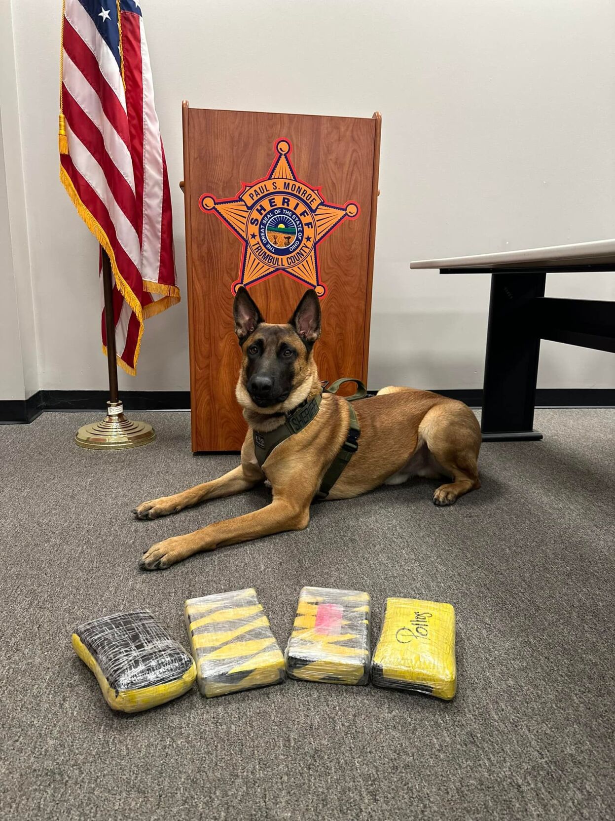 Trumbull drug task force makes bust on I-80 | Archives | wfmj.com