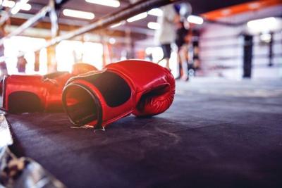 Haskell named new Ohio Boxing Commissioner | Archives | wfmj.com