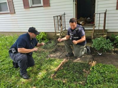 Champion man indicted after dead dog and cat found in home | Local News ...