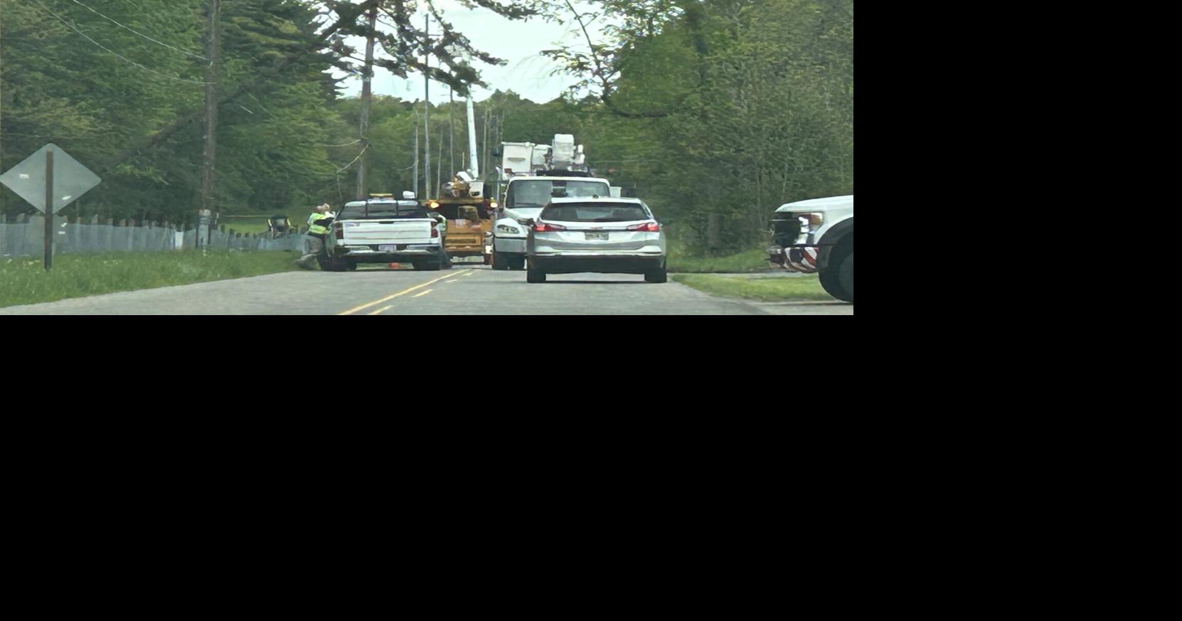 Power completely restored after tree falls in Austintown | Austintown ...