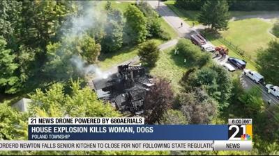 One woman, two dogs dead after fire in Poland Township | Archives ...