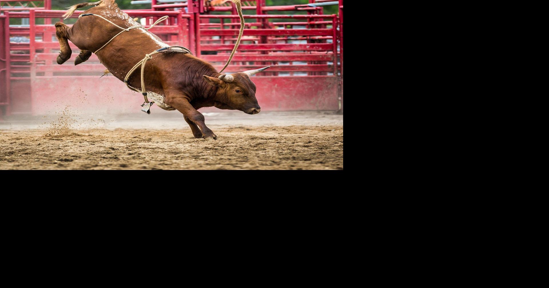 Hoppel's Championship Rodeo returns July 4, 5 | Archives | wfmj.com