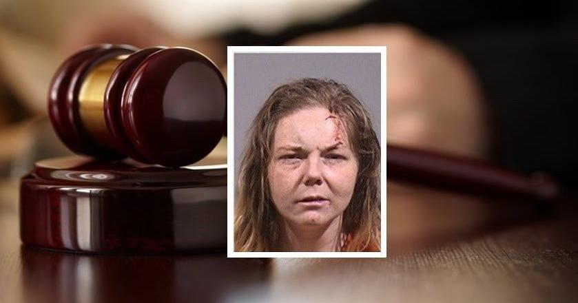 Warren woman pleads guilty to charges following high-speed chase and ...
