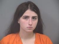 Struthers woman charged with child endangerment after children found in ...