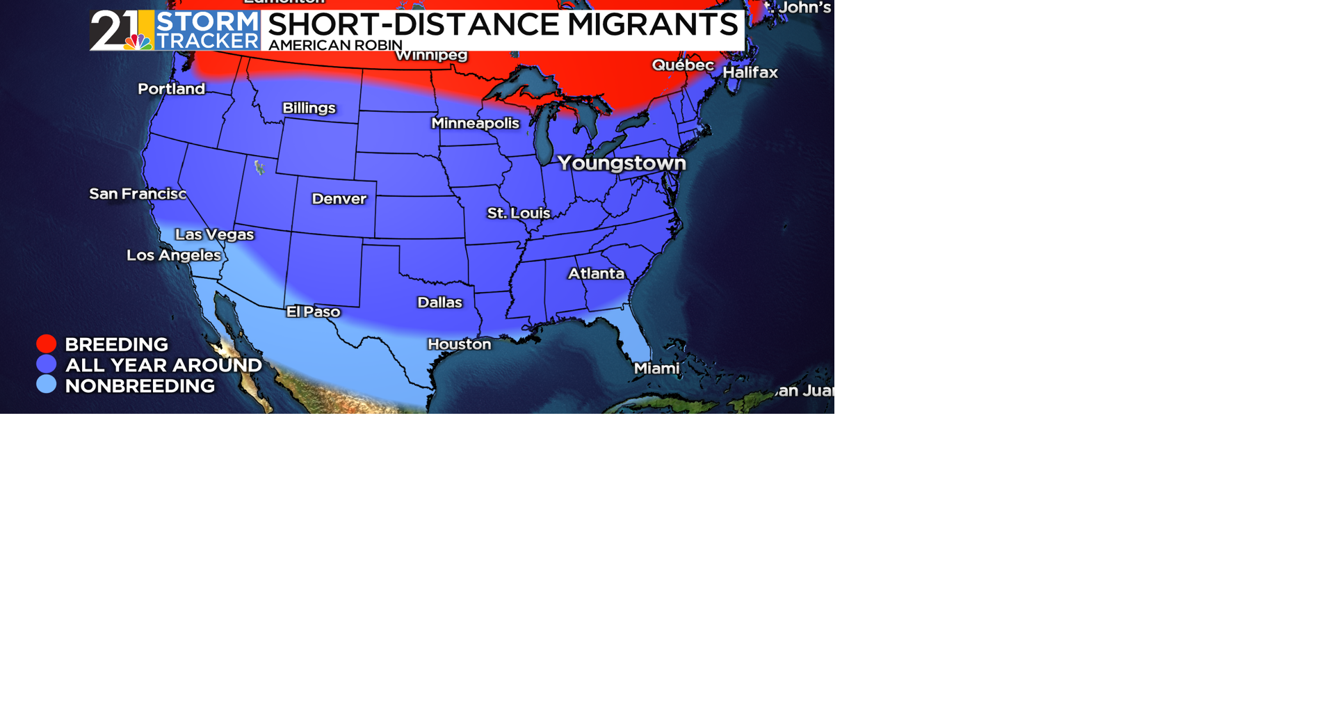 Weather 101: A bird’s vacation? All about migration