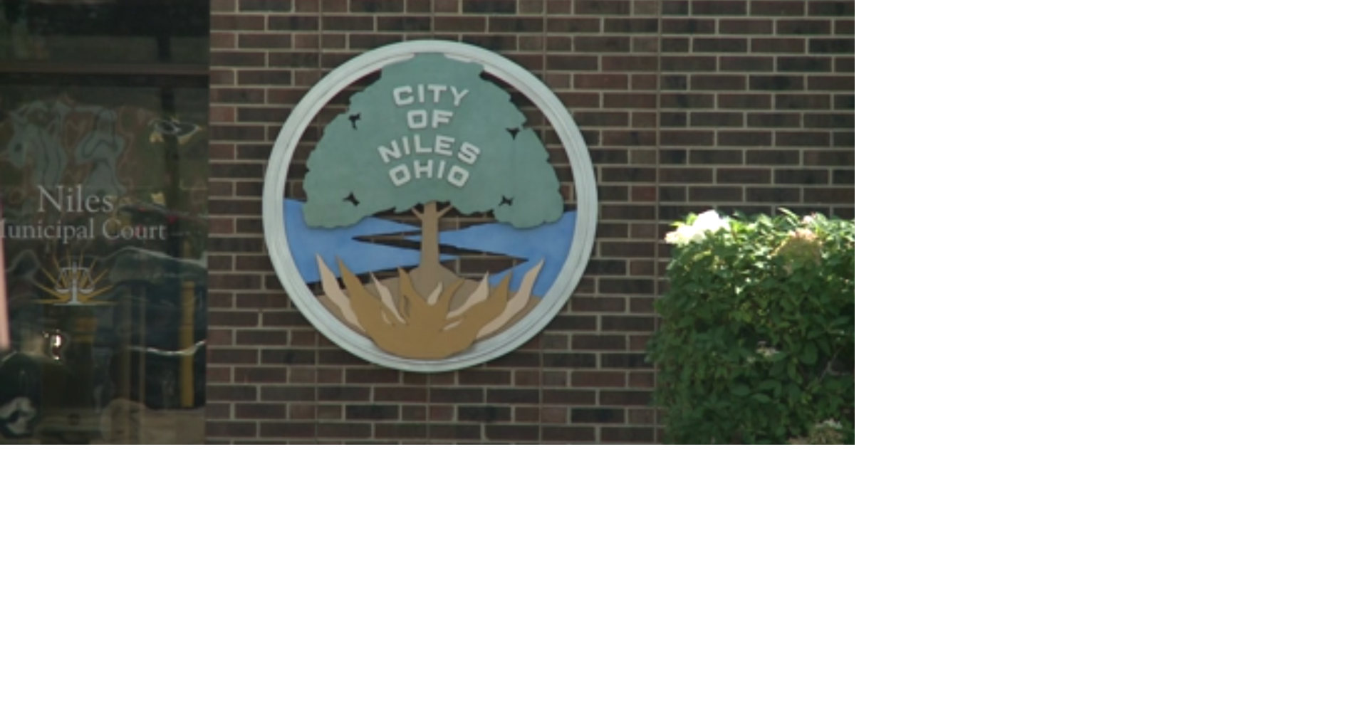 Niles Council President proposes term limits for mayor, councilmembers