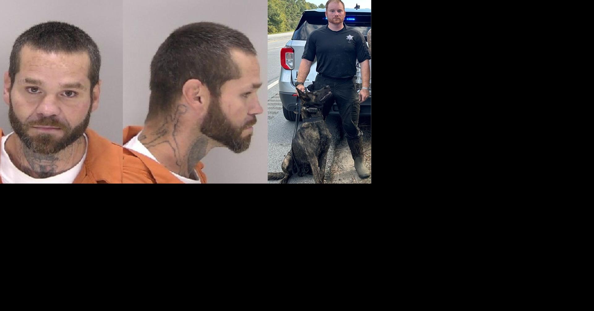 Wanted fugitive captured after swamp chase in Richmond County | News ...
