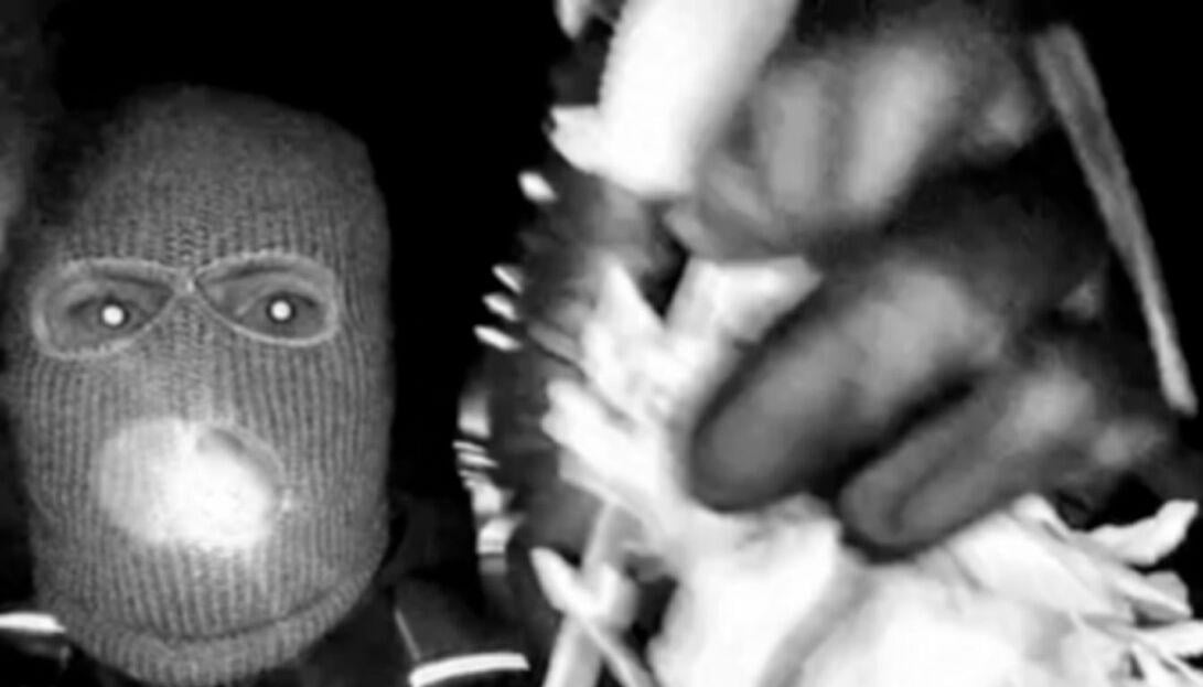 FBI releases first surveillance images of masked person on Nancy Guthrie's porch | News | wfxg.com