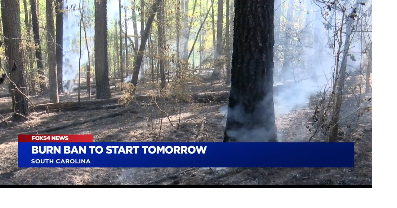South Carolina Forestry Commission issues burn ban | News | wfxg.com