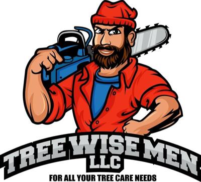 Tree Wise Men Offers Professional Tree Care Services for Homes and ...