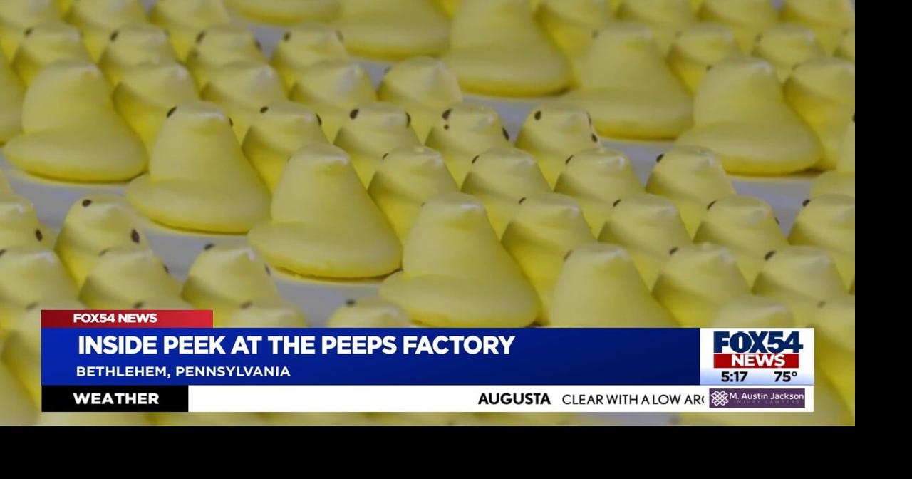 How the Peep are Peeps made? | News | wfxg.com