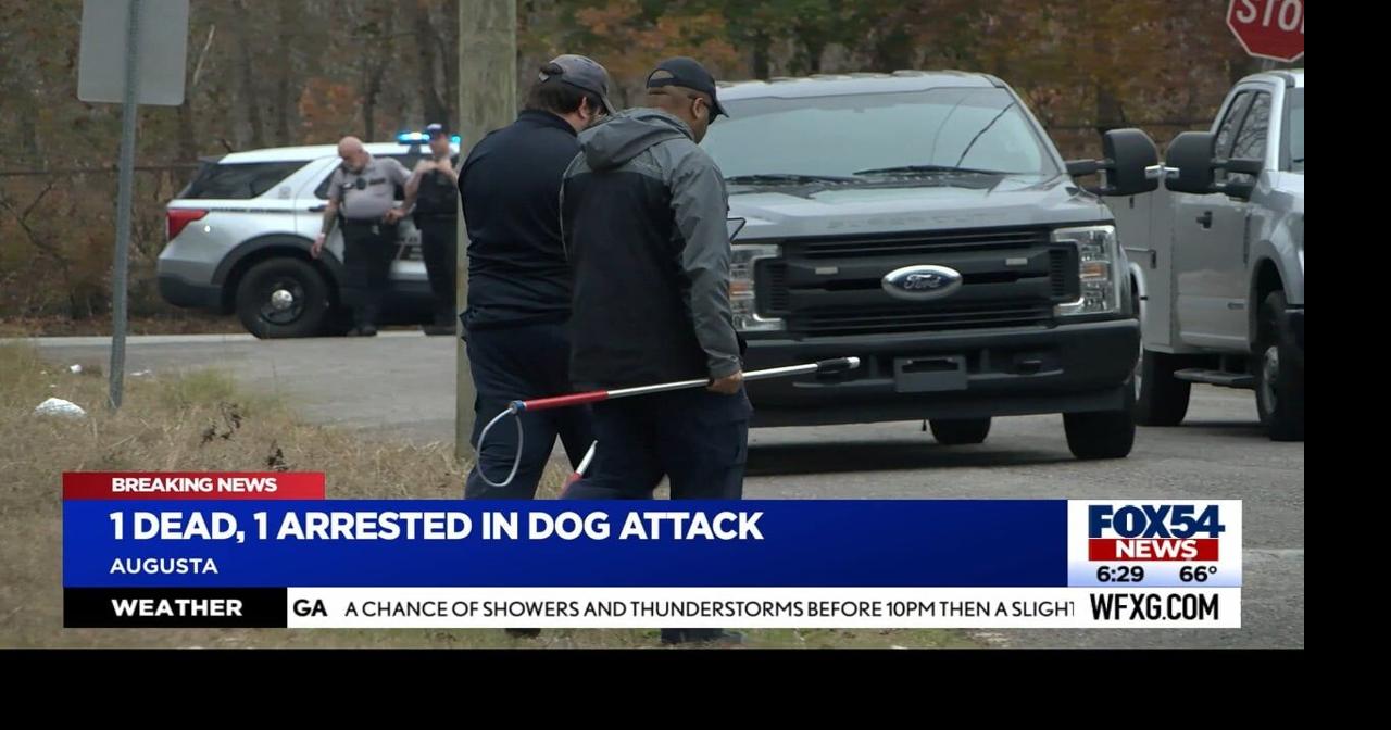 One woman dead, one man arrested after dog attack in Augusta | News ...