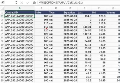Wisesheets Brings Real-Time Options Chain Data Into Excel and Google