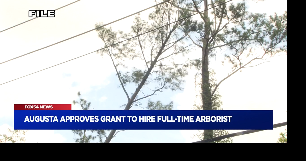 Augusta Commissioners approve grant to hire full-time arborist