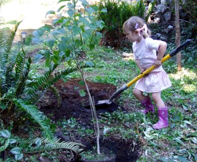 Canada’s ChariTree Foundation marks 20 years on Earth Day with Global ...