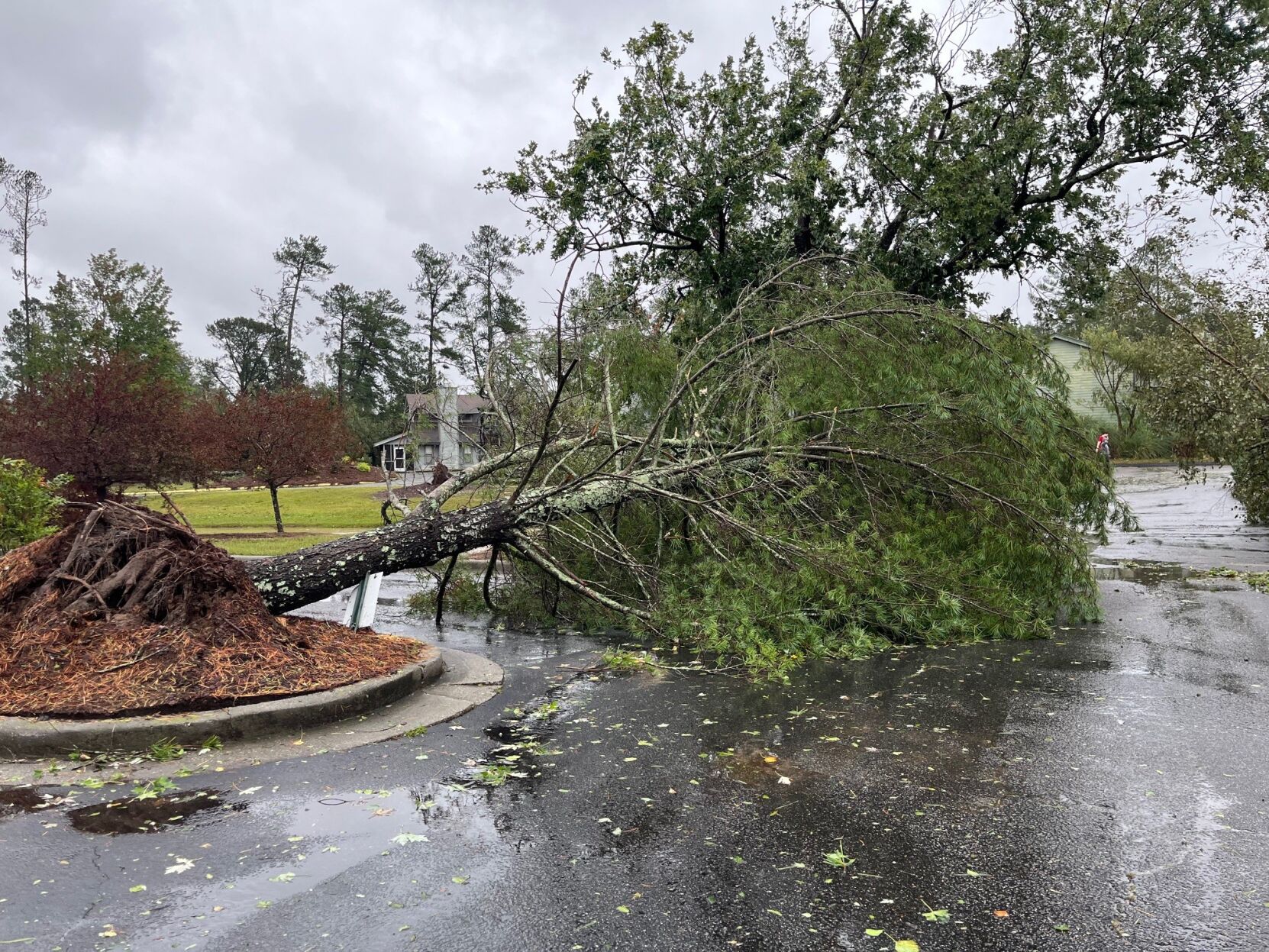 Death toll rises in Aiken County due to Hurricane Helene | Your Trusted ...