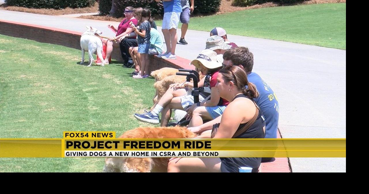 Project Freedom Ride host a special day for dogs | News | wfxg.com