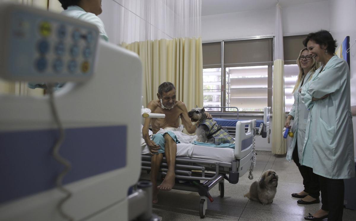 Brazil Pet Therapy Photo Gallery