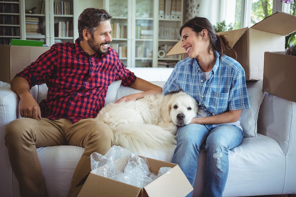 Moving with your furkid? Be sure to plan ahead! (image)