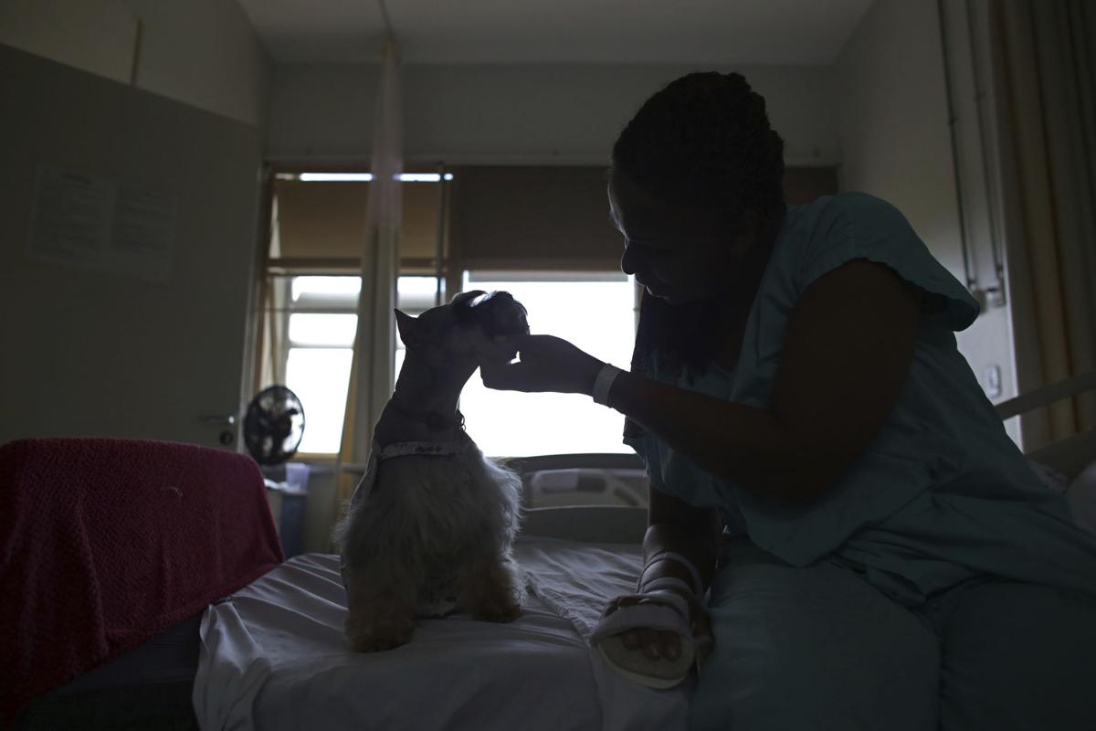 APTOPIX Brazil Pet Therapy Photo Gallery