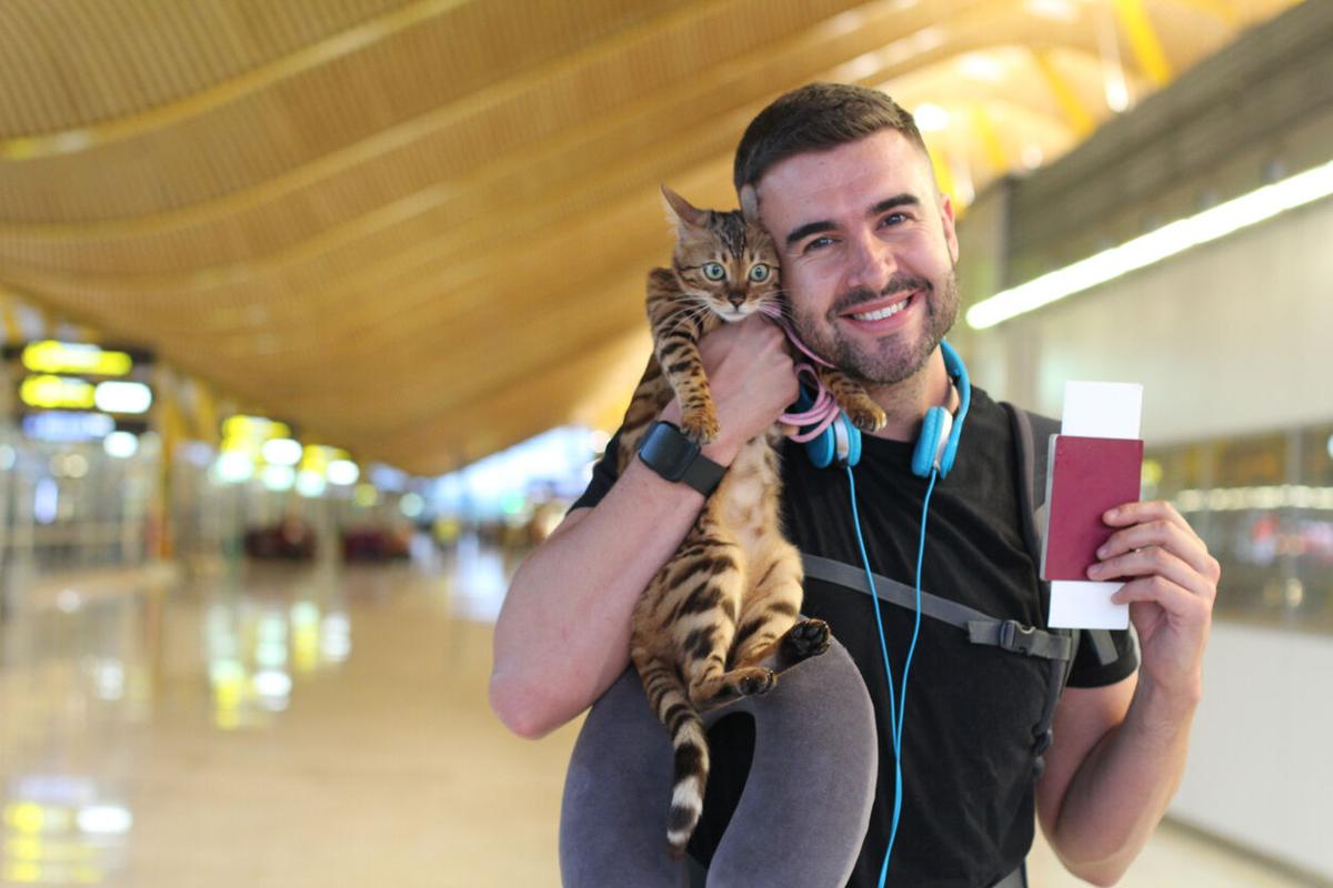 Riding the rails? Take your furry sidekick along! (image)