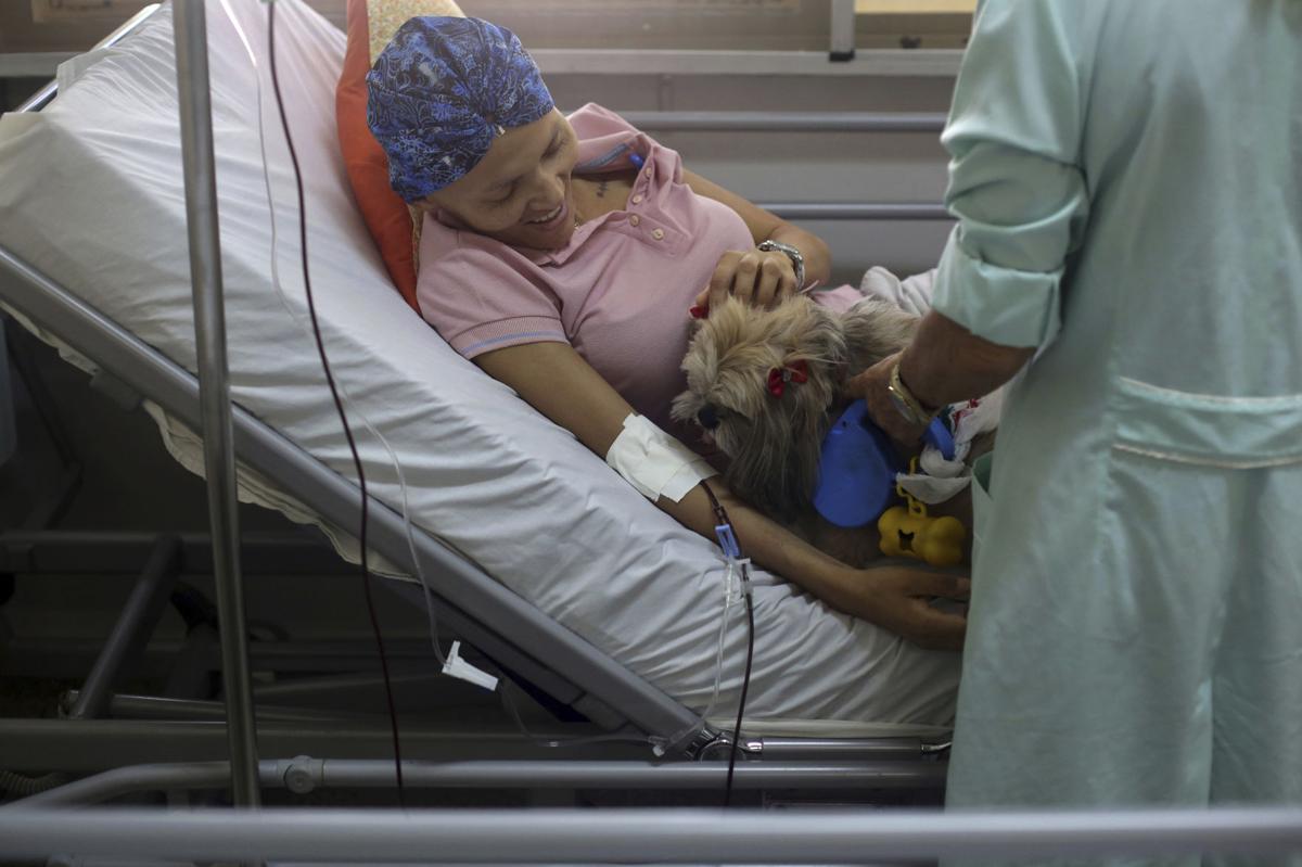 Brazil Pet Therapy Photo Gallery
