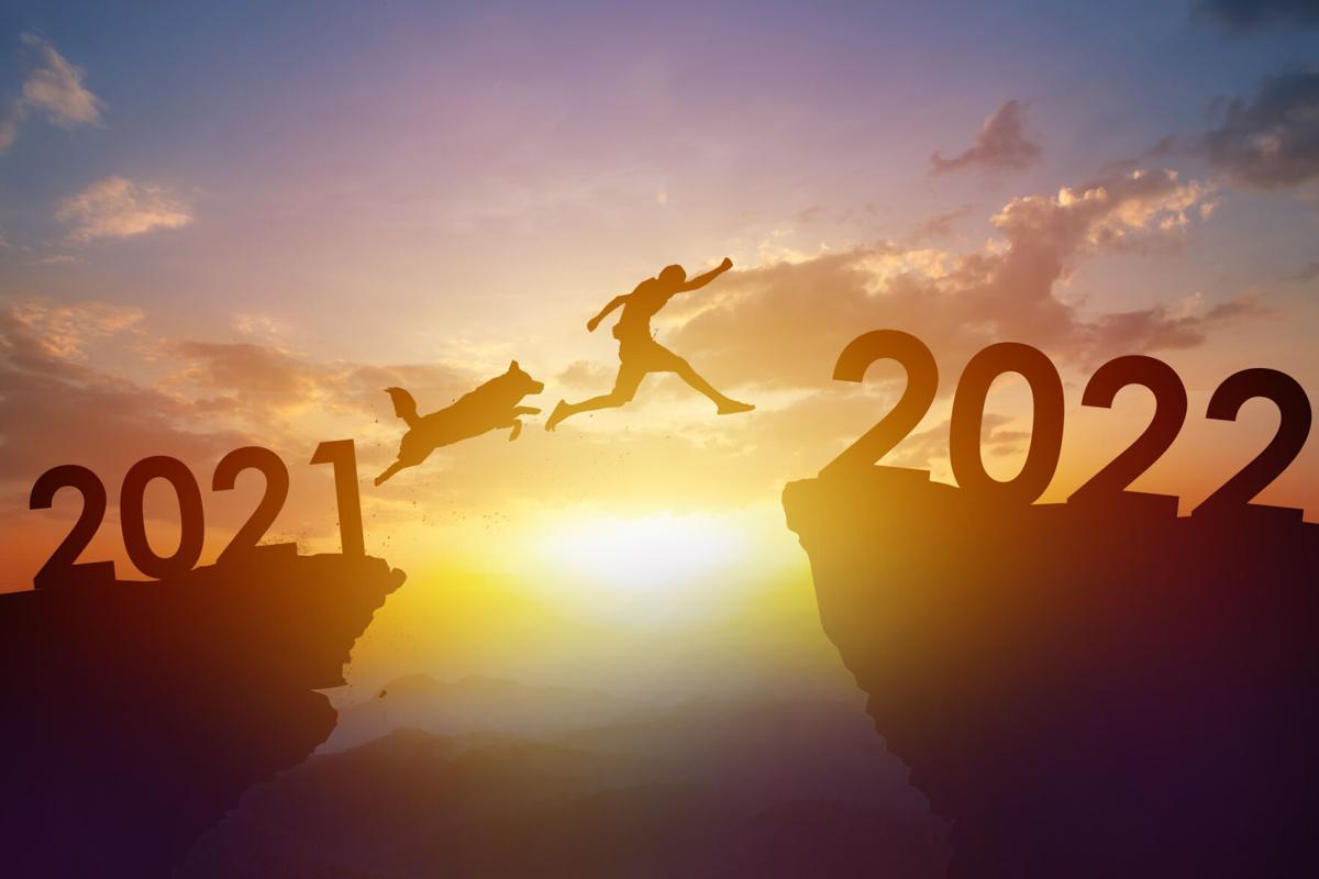 Top 5 pet new year's resolutions for 2022 - Image