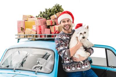 8 tips for stress-free holiday road trips with pets (image)