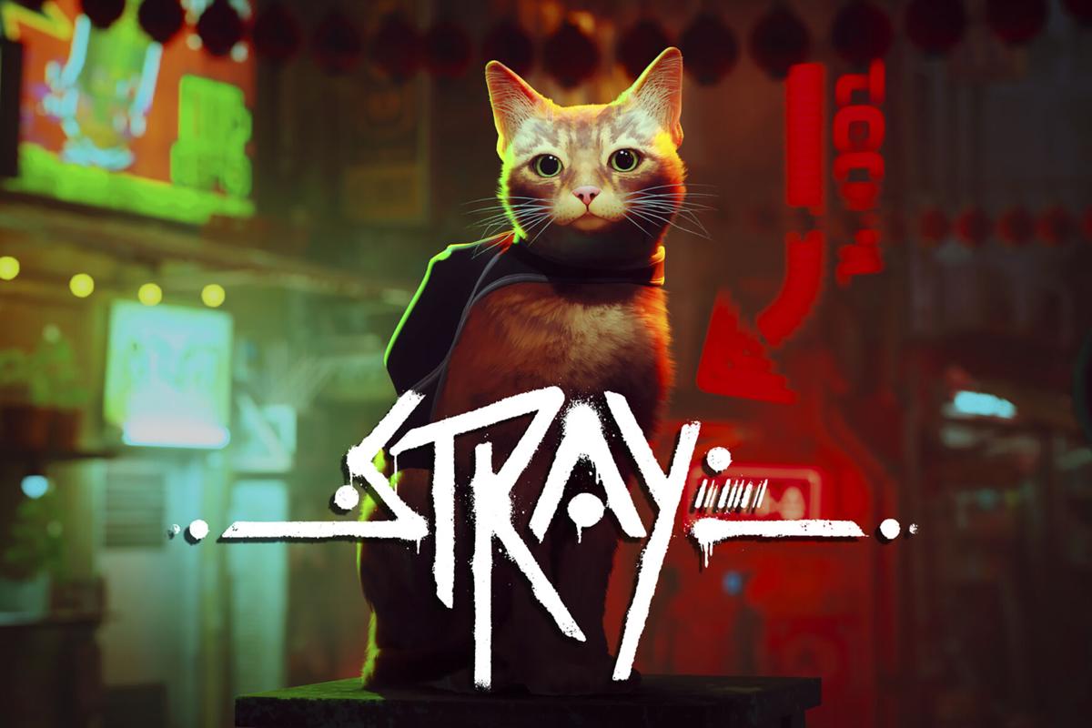 Cat Video Game