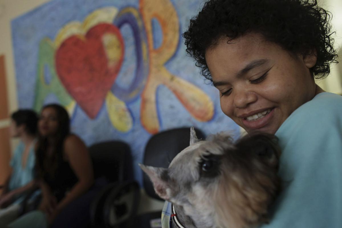 Brazil Pet Therapy Photo Gallery