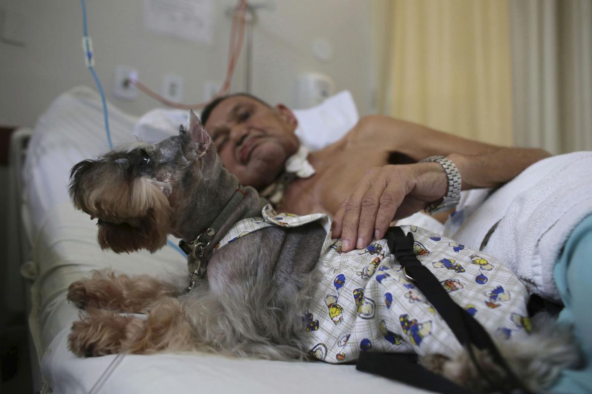 Brazil Pet Therapy Photo Gallery