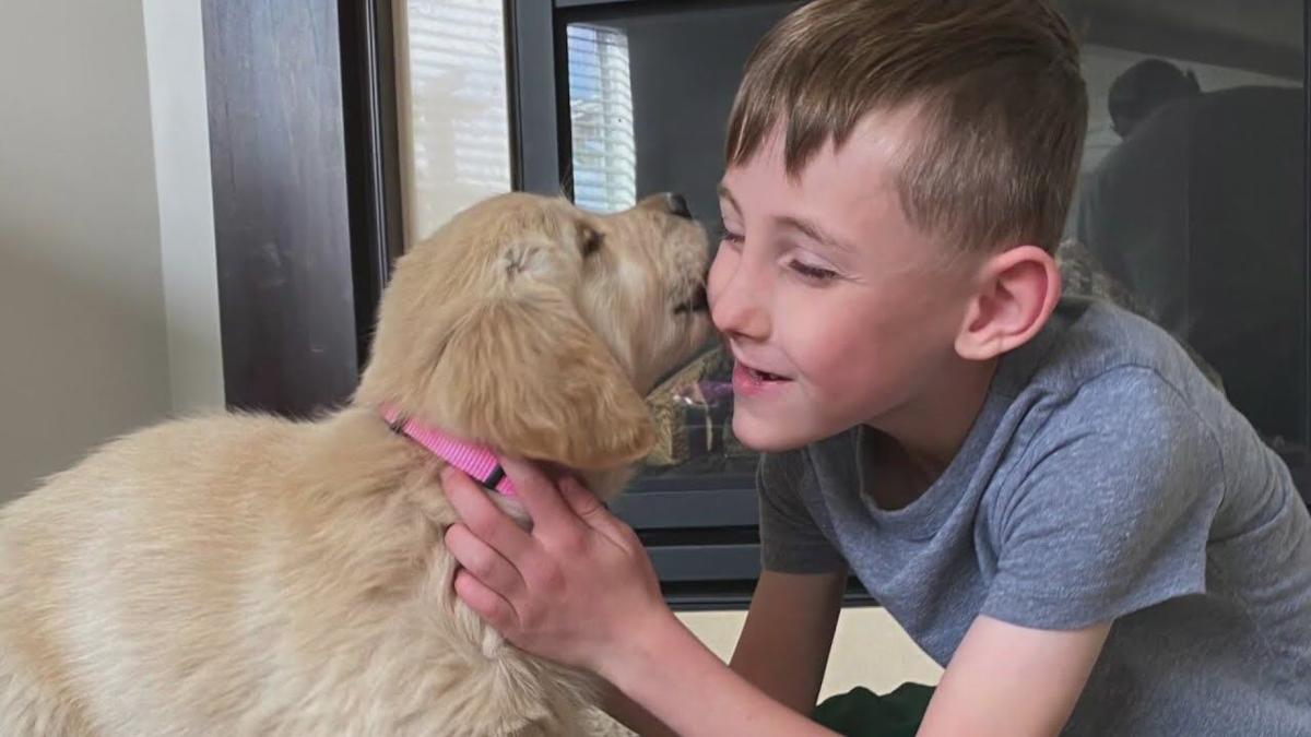 Minnesota Boy With Prosthetic Leg Gets Puppy Born Without Paw Pets Whiskers101 Com