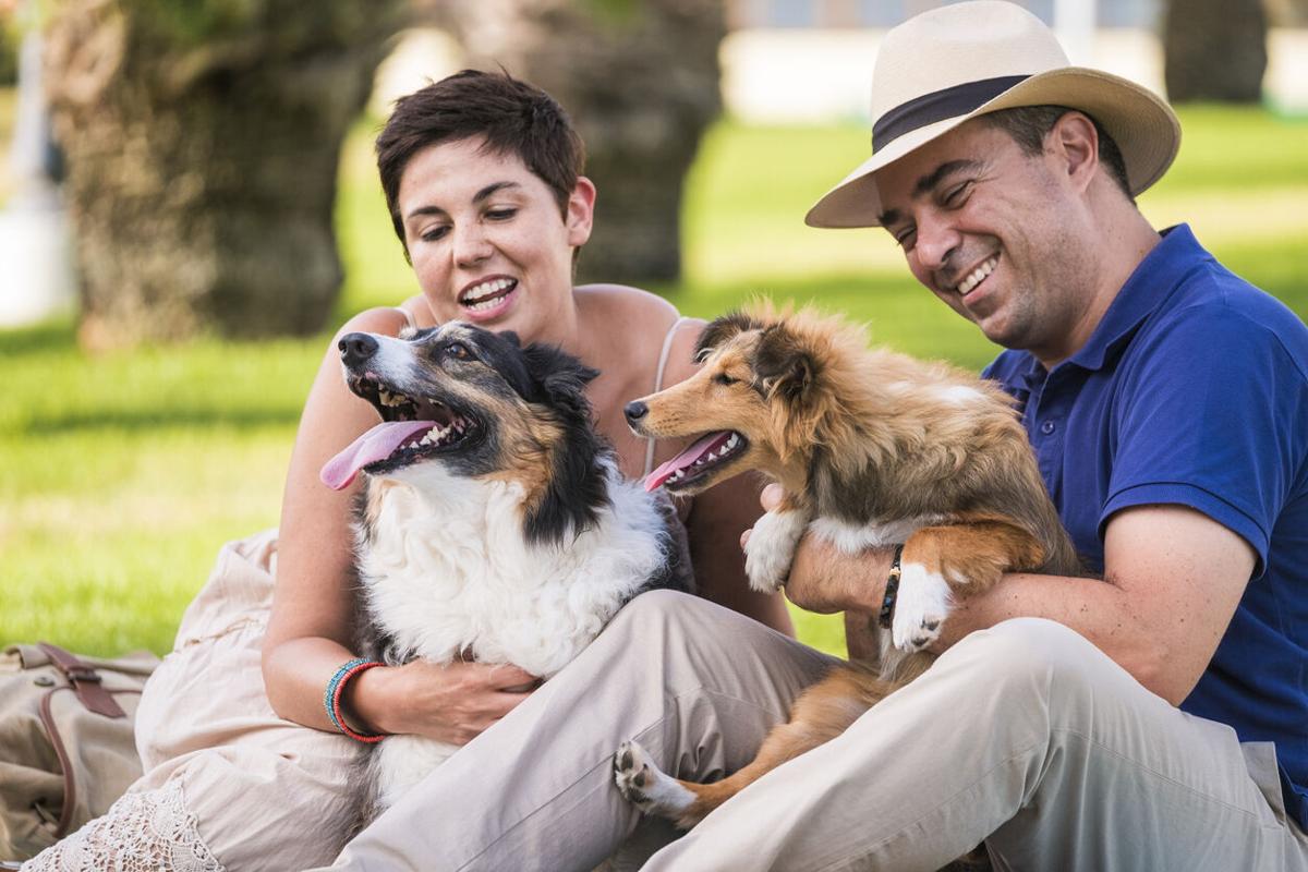 The Great Uniters: How Pets Foster Connections and Bring People Together | Pets | whiskers101.com