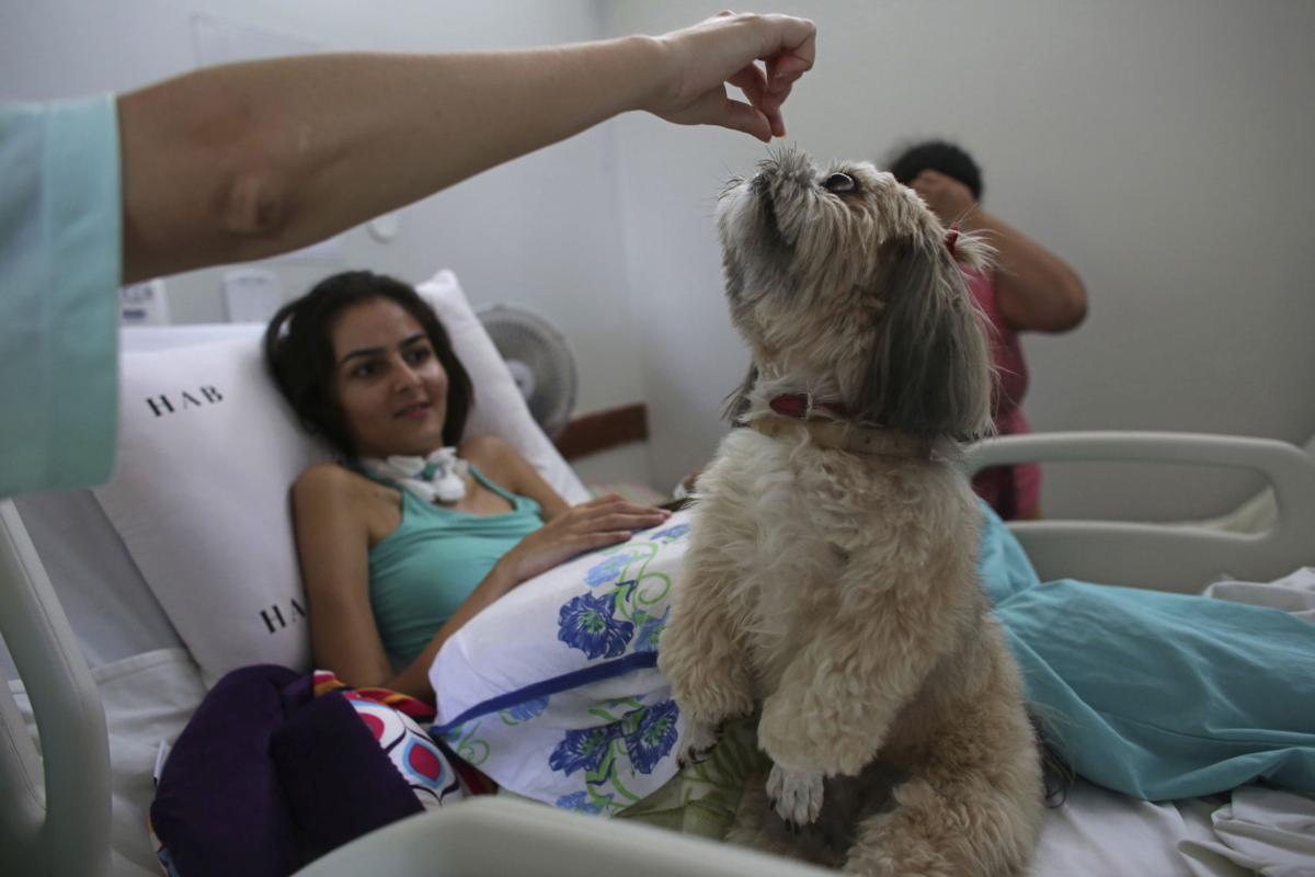 Brazil Pet Therapy Photo Gallery