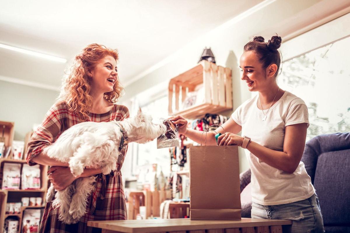 Surprising places where your pooch can shop with you (image)