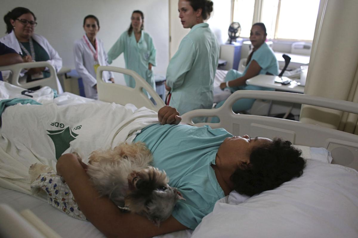 Brazil Pet Therapy Photo Gallery